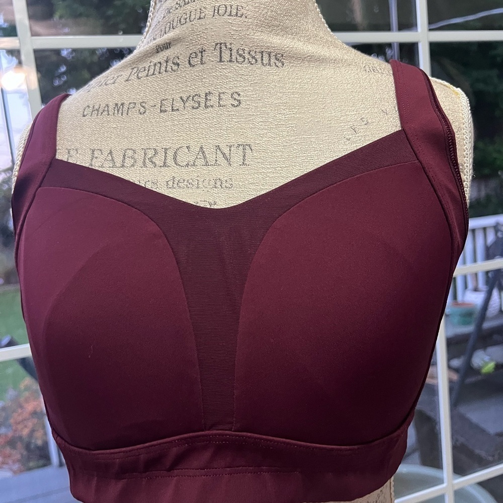 Lululemon Red Intimates Bra with Seamless Support